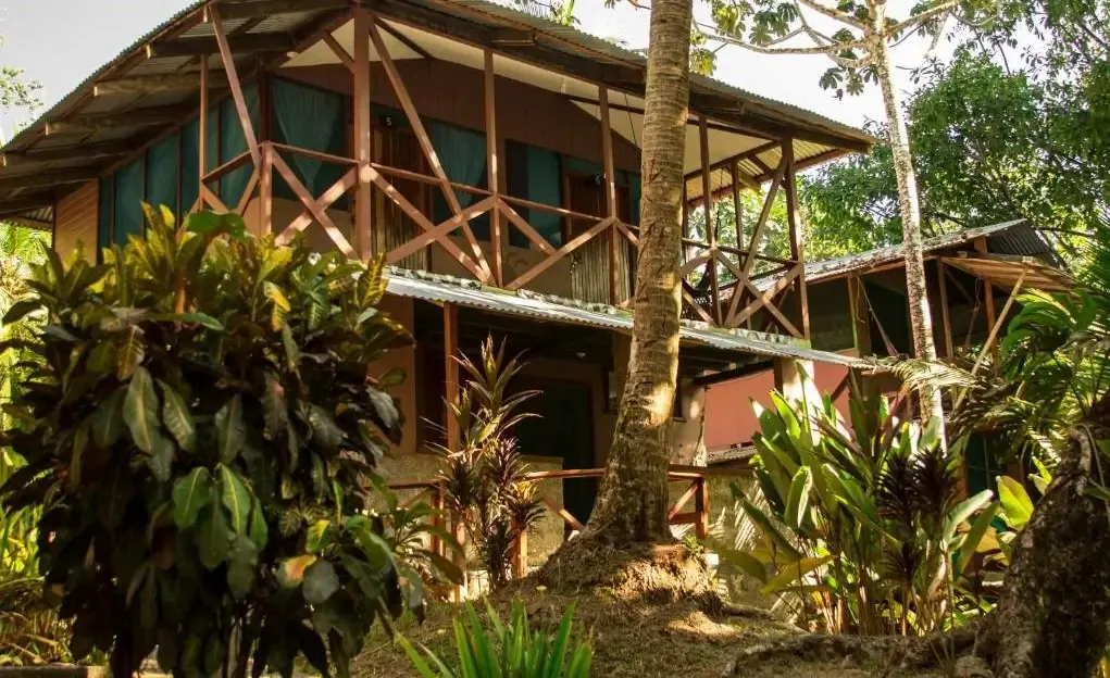 Exterior of the Ecuador Surf Camp buildings in Montanita surrounded by tropical vegetation