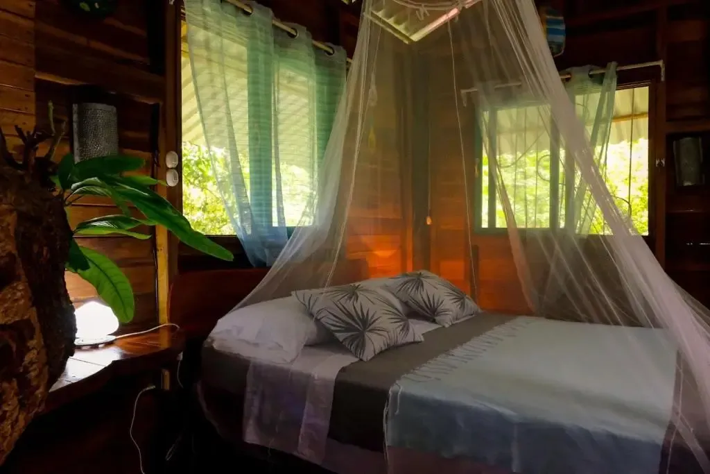 Room at Ecuador Surf Camp in Montanita with natural materials and warm coastal light