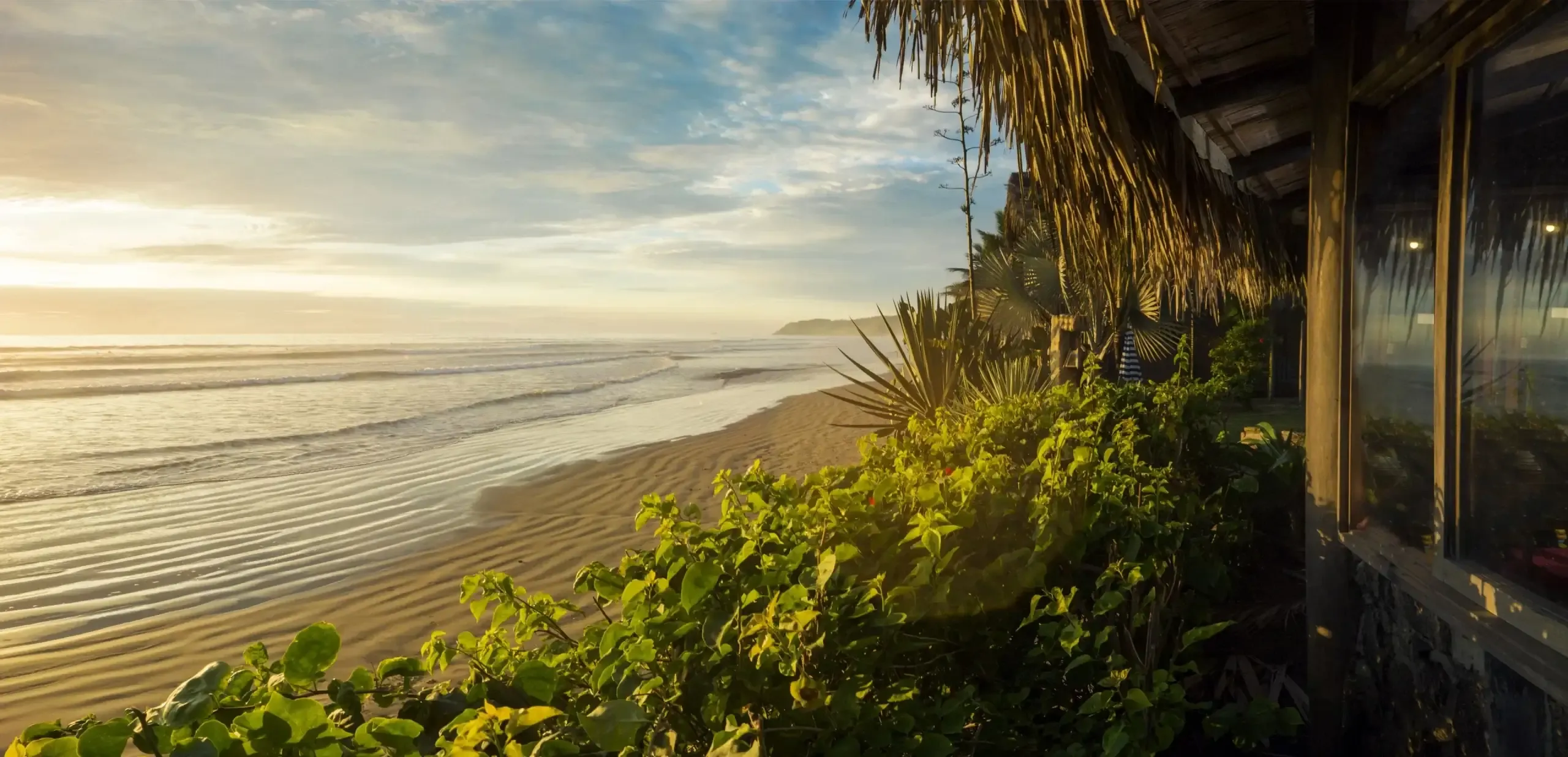 Montanita coastline at golden hour with waves rolling in and a surfer in the water